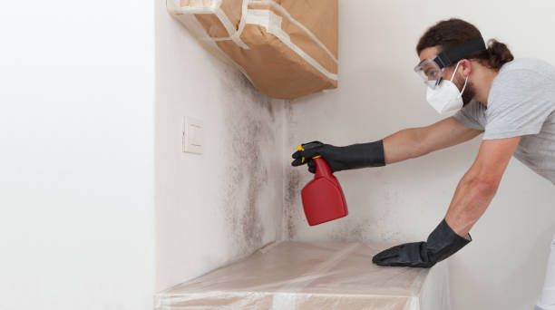 Professional Bathroom Mold Removal technician working in Kalamazoo, MI